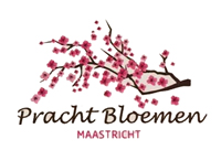 My Website